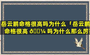 岳云鹏命格很高吗为什么「岳云鹏命格很高 🐼 吗为什么那么厉害」
